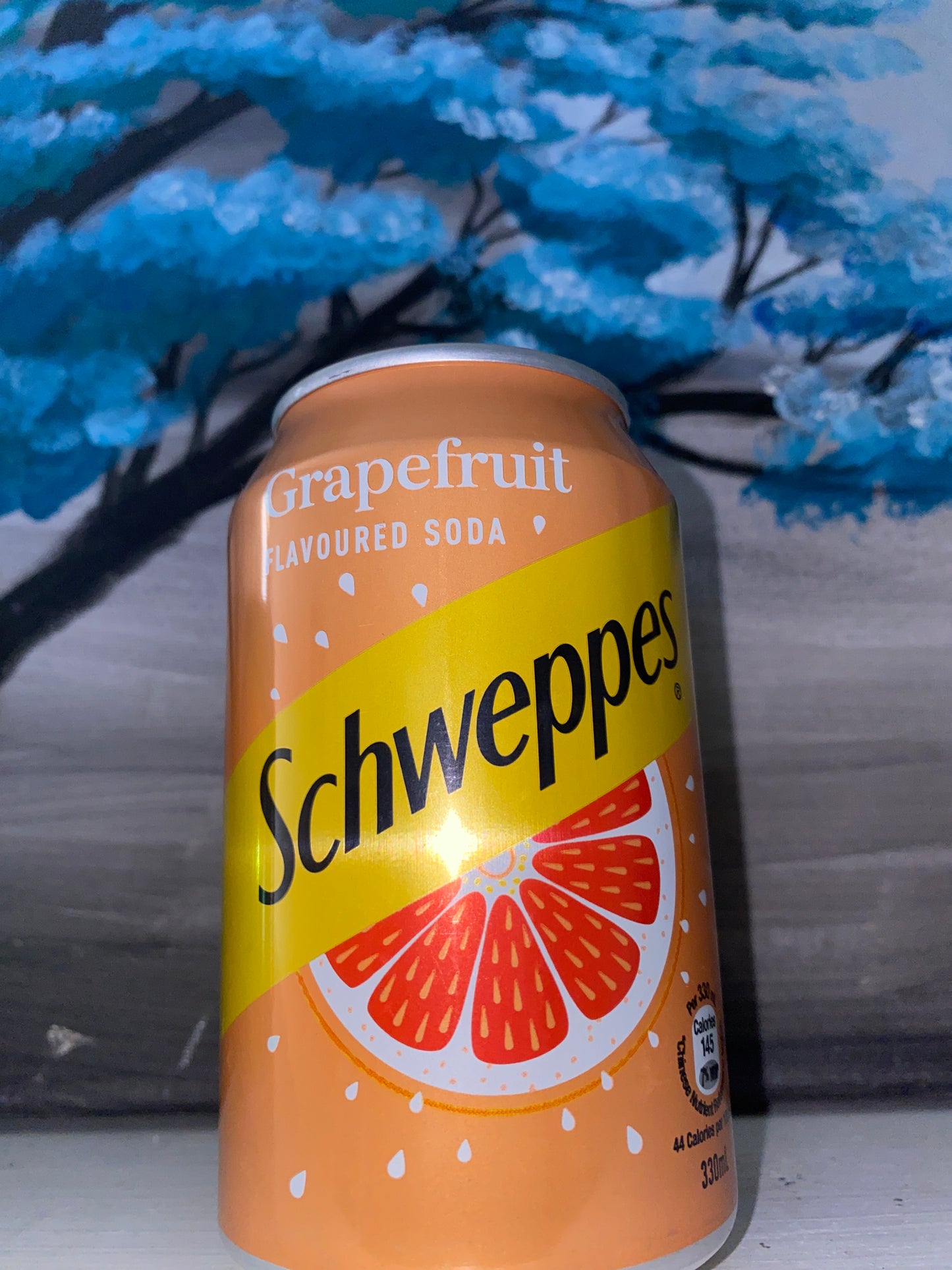 Schweppes Soda (China)