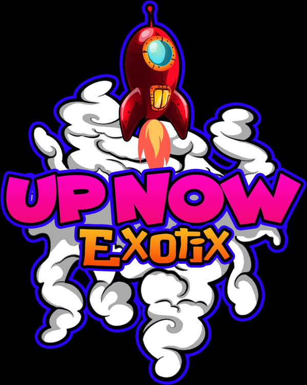 Up Now Exotix
